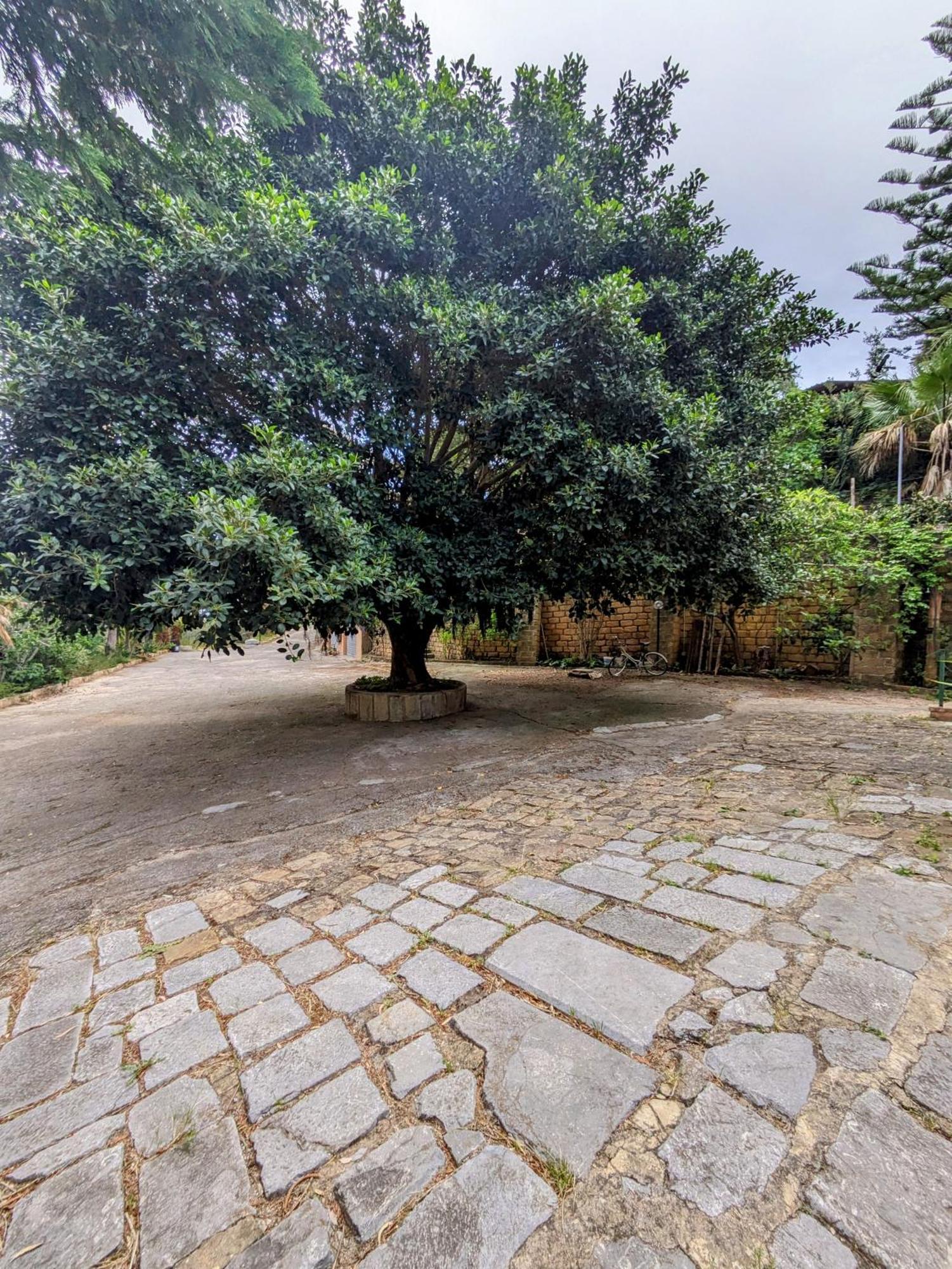 Terra Mia Daire Cefalù Dış mekan fotoğraf