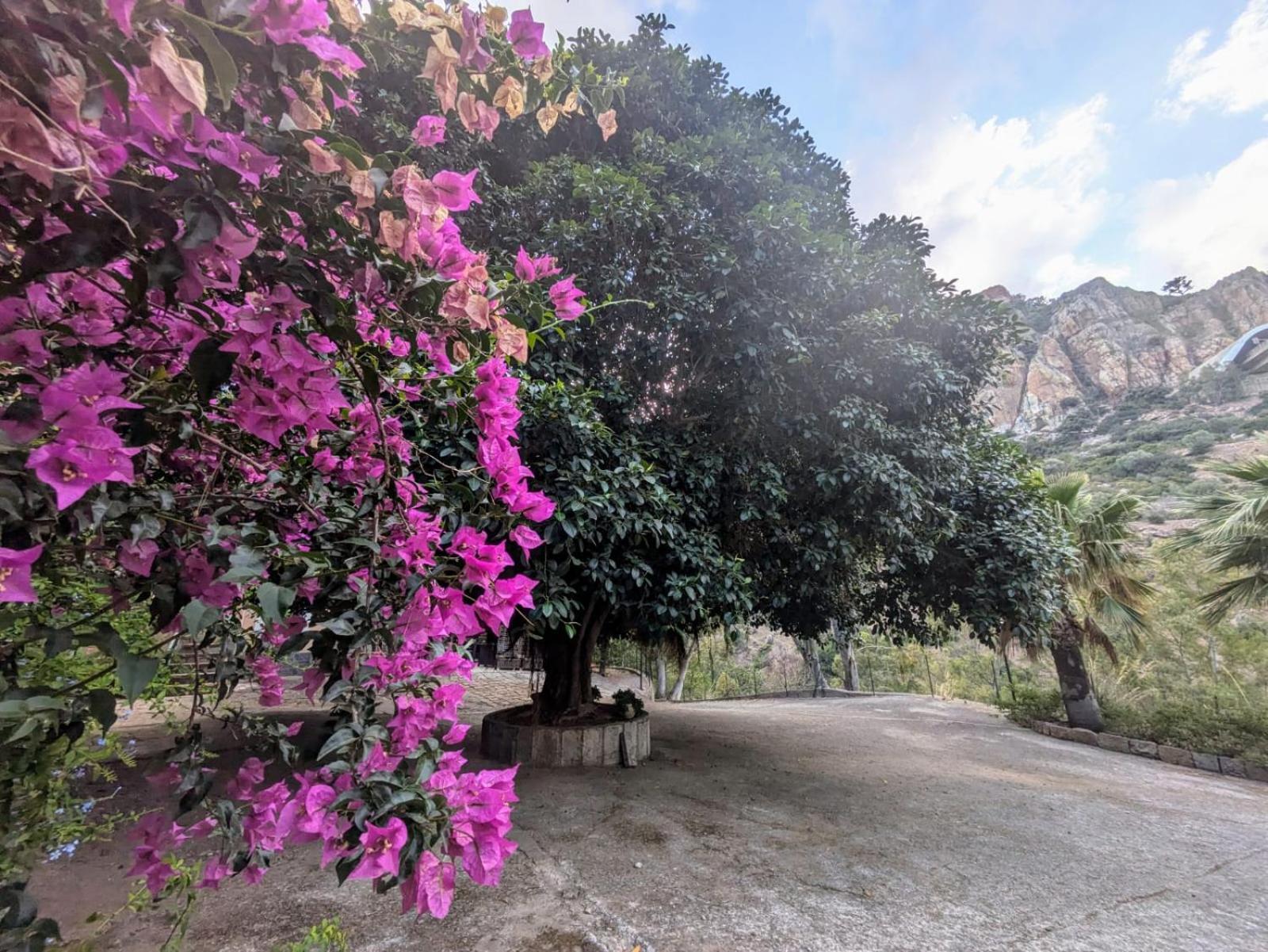 Terra Mia Daire Cefalù Dış mekan fotoğraf