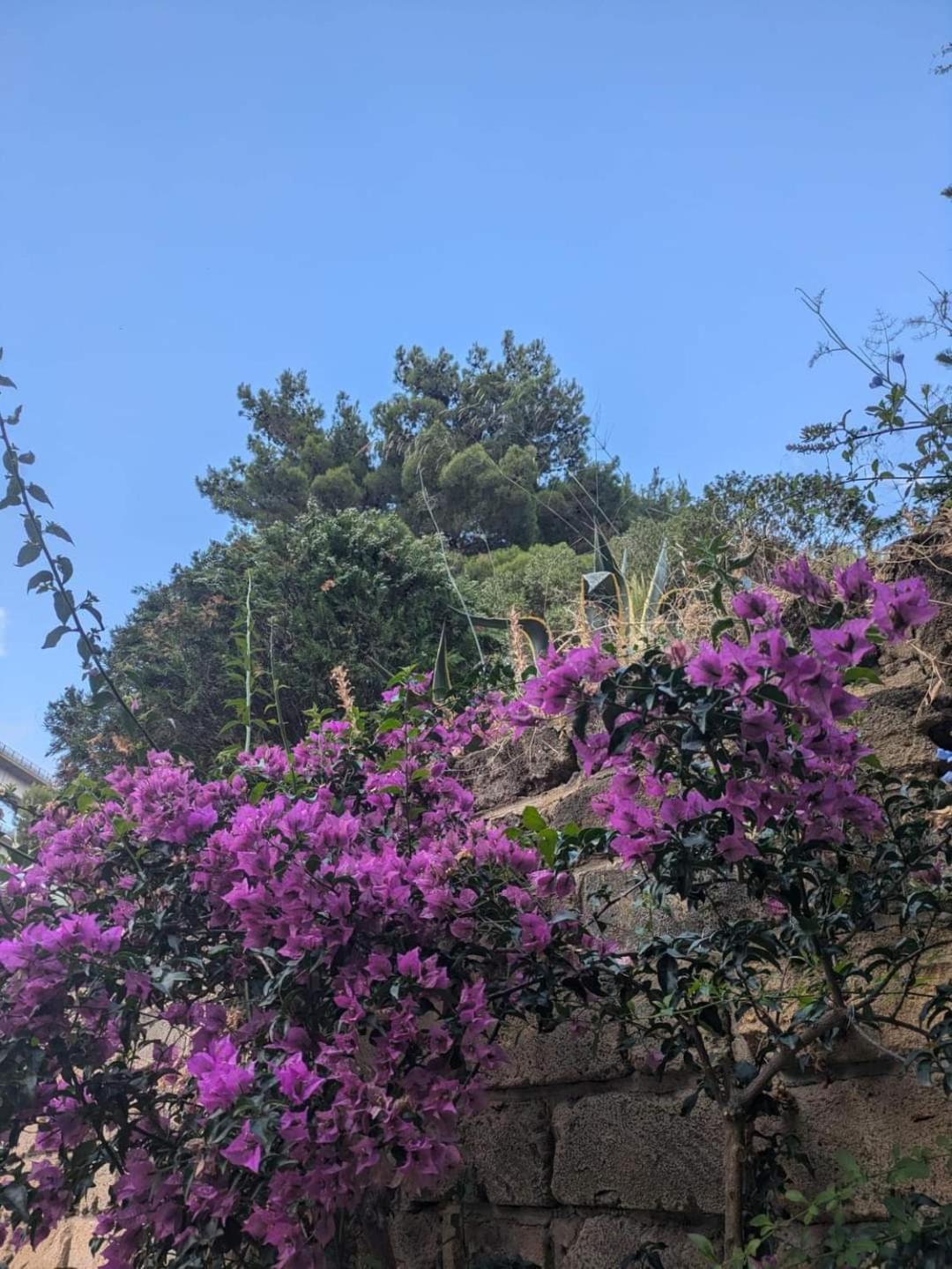 Terra Mia Daire Cefalù Dış mekan fotoğraf